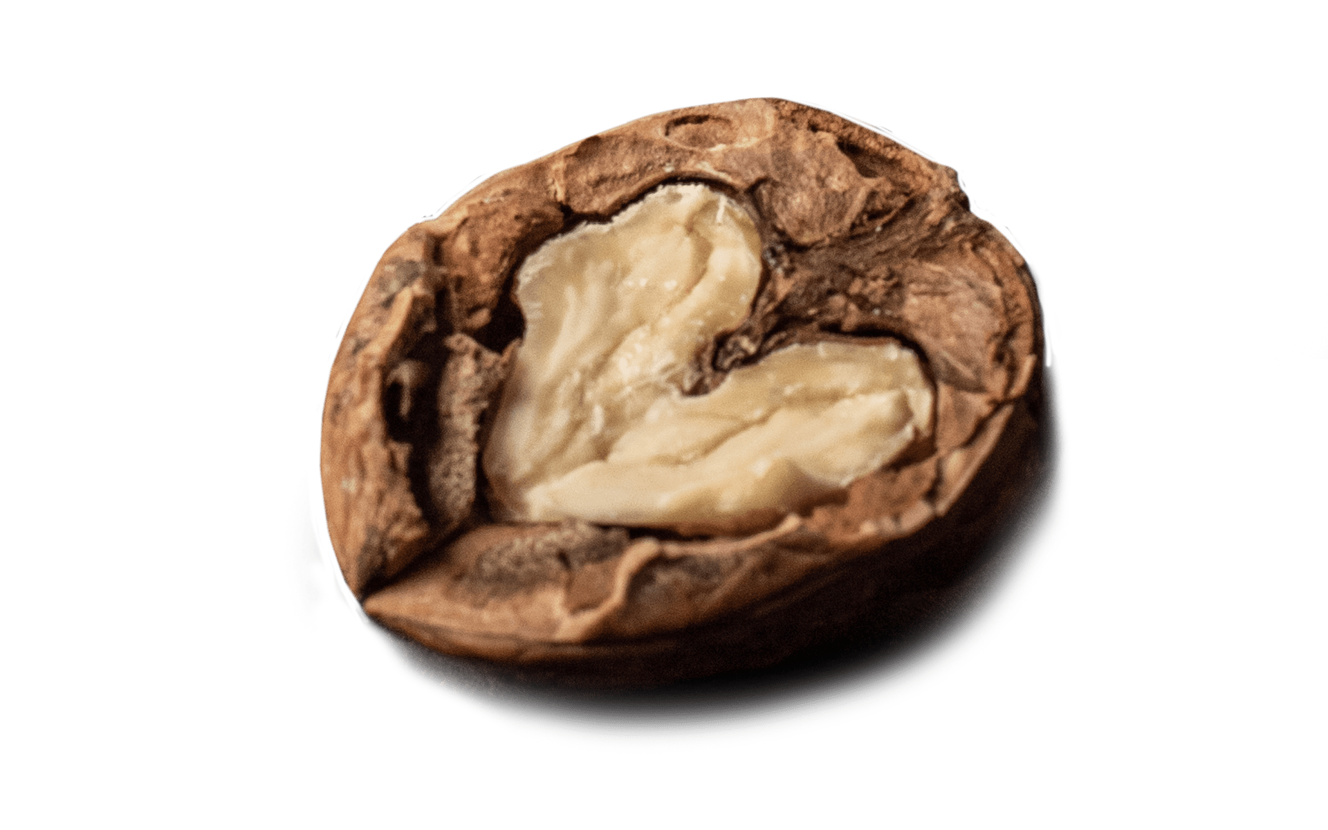 Torn Ranch Round Tin